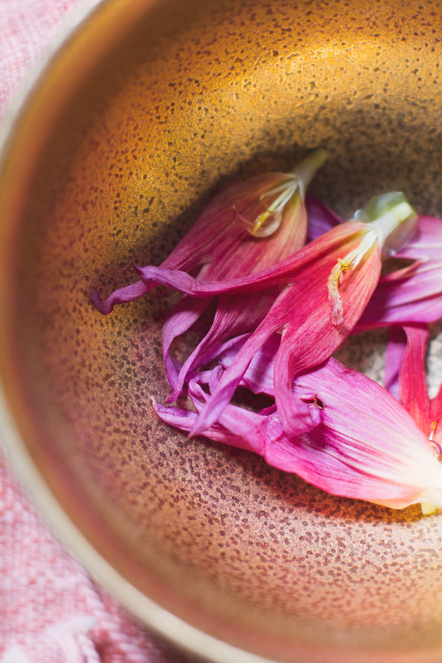 Still life of golden bowl with pink dahlia petals
