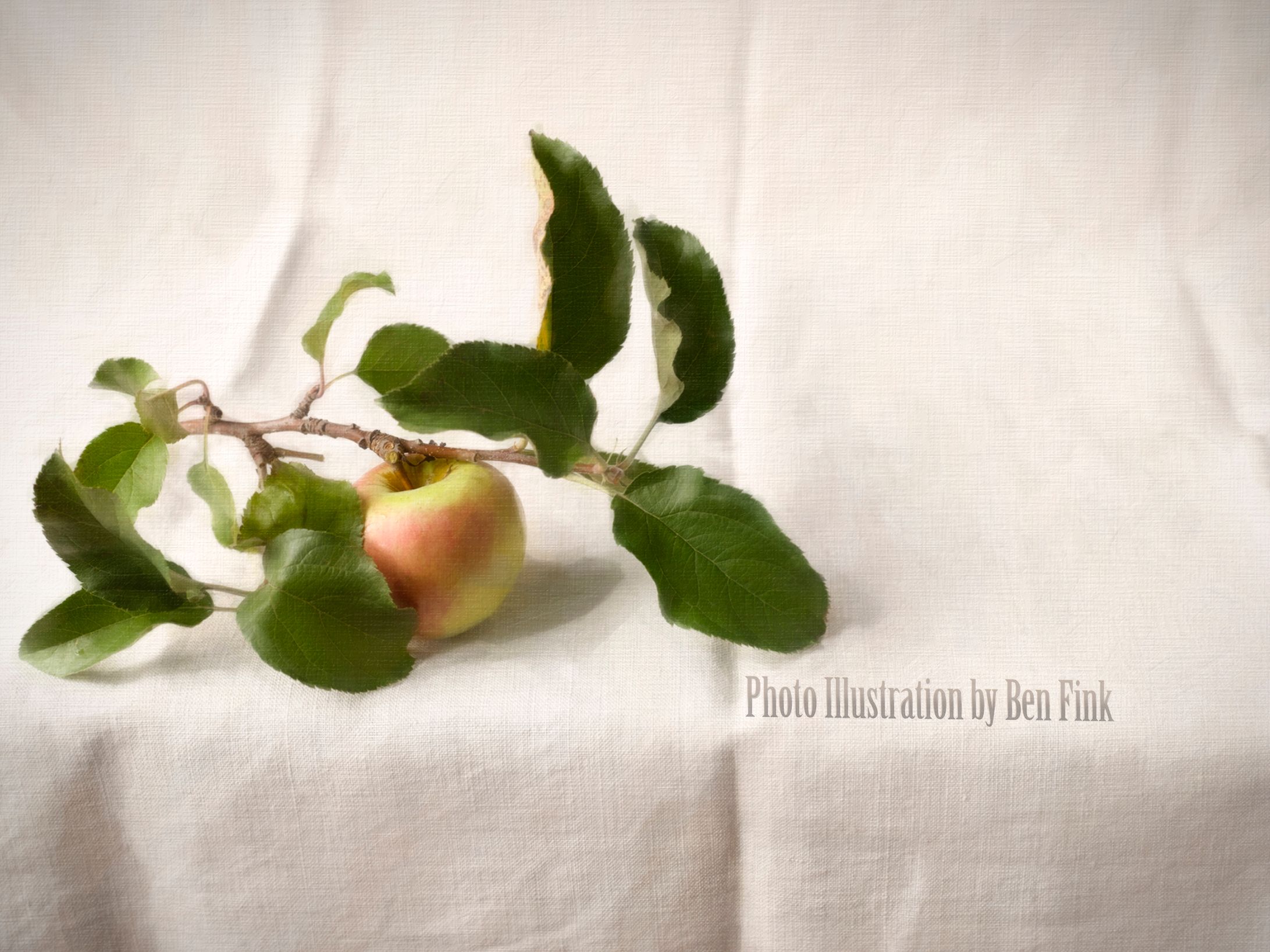 What project, Americas best recipes 