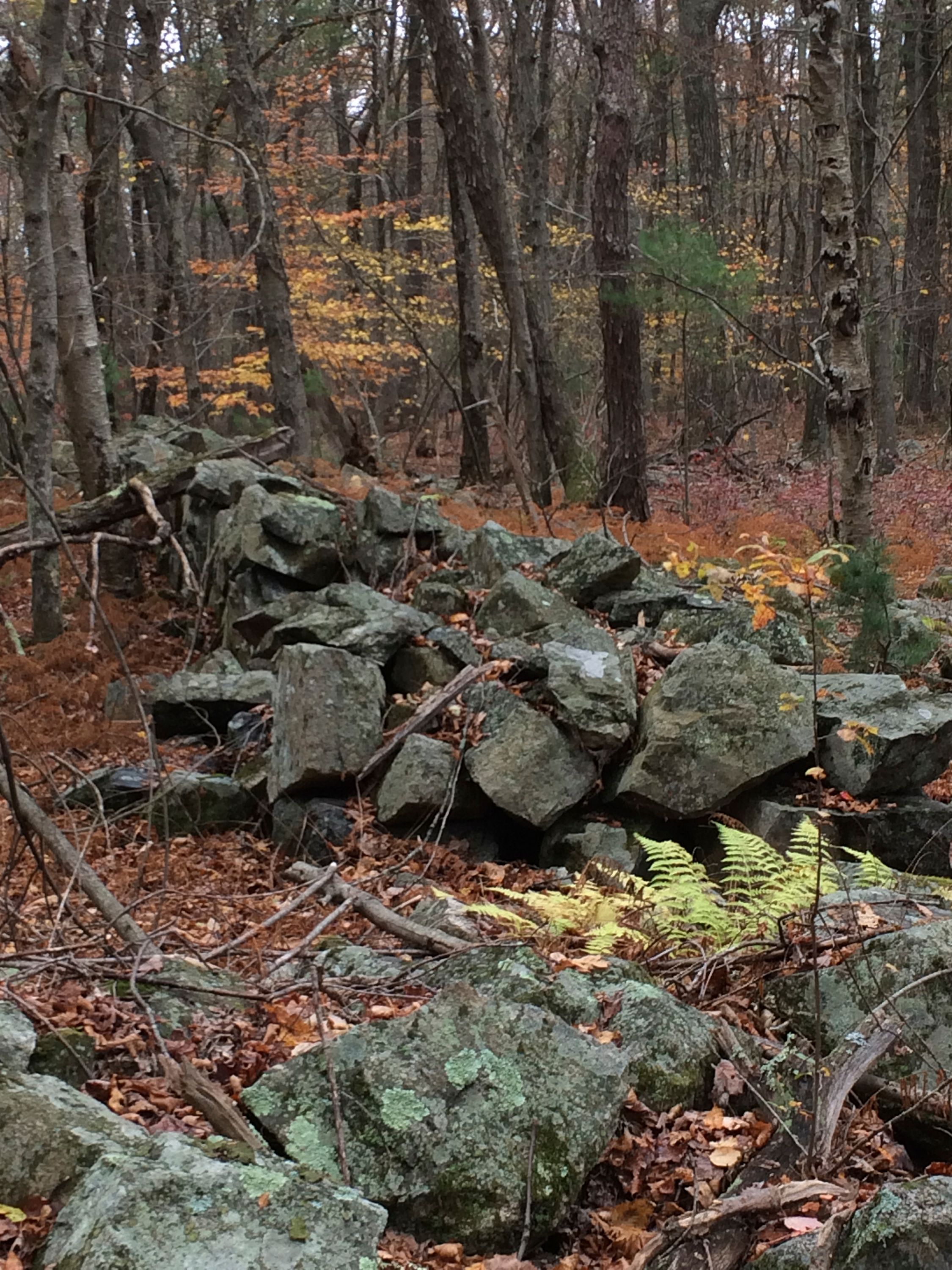 Old Stone Wall, Sharon MA