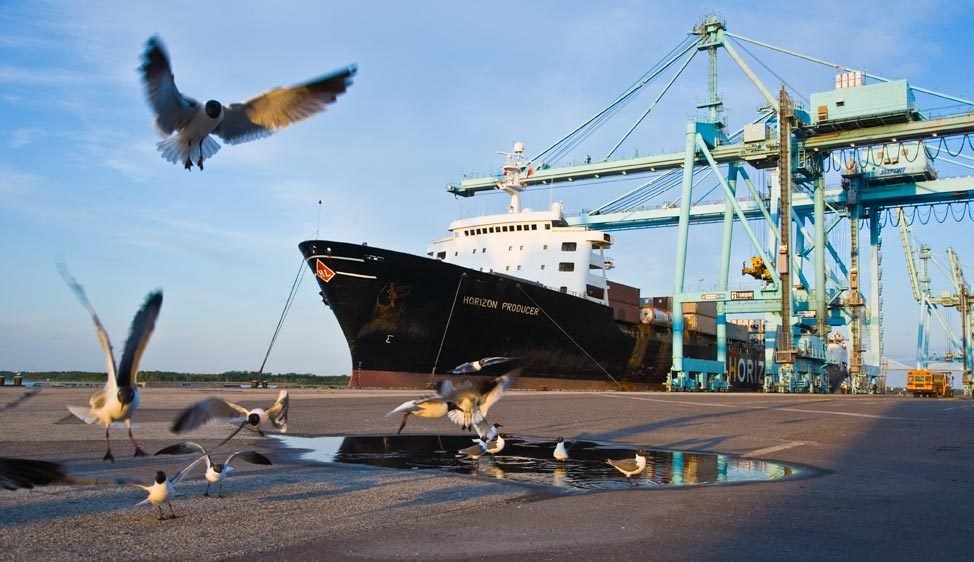 Port of Jacksonville