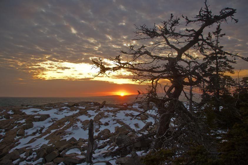 After the winter storm in Acadia National Park.