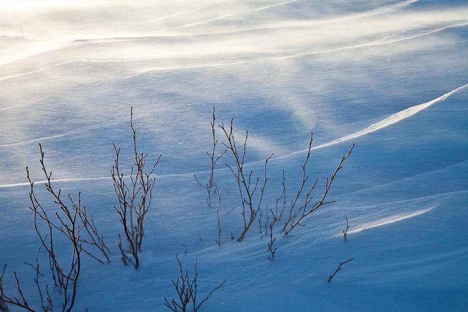 Blowing snow on the top of Cadillac Mountain in Acadia National Park.
