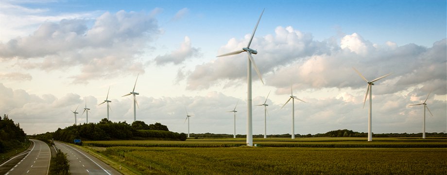 Wind Farm in Northern Germany