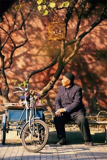 Bird Park in Beijing