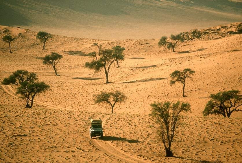 Namib Rand Reserve, Namibia.