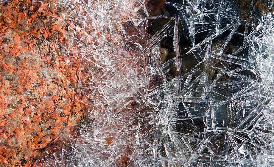 Pink granite & ice crystals in Acadia National Park.