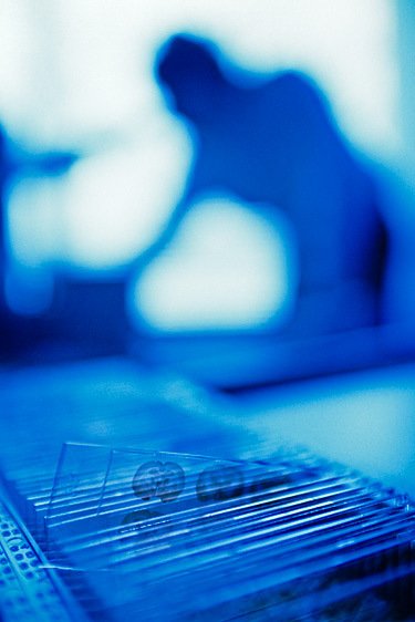 Mouse  Brain and Researcher in a Lab.