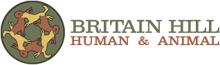 Britain Hill Photography - Human & Animal