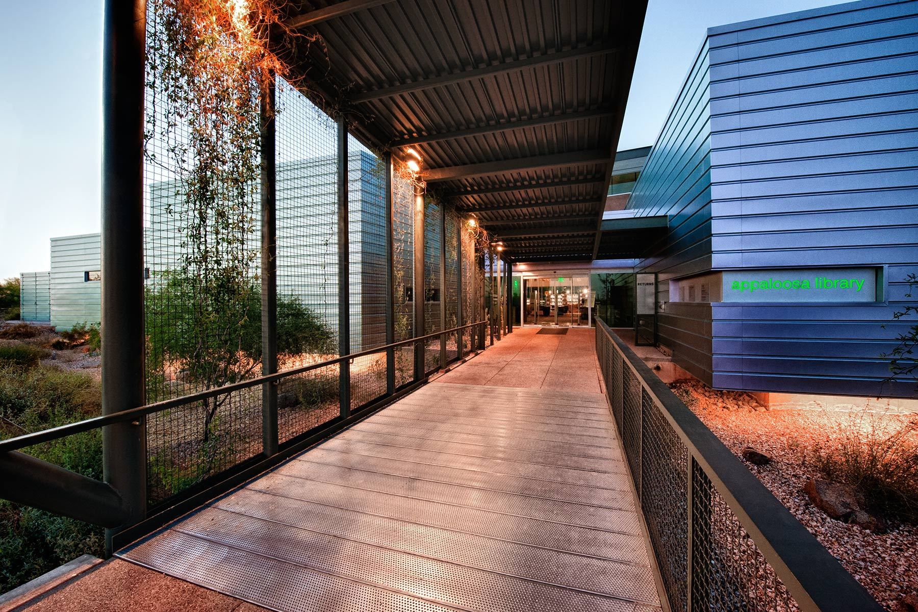 1appaloosalibrary_9218colorlay