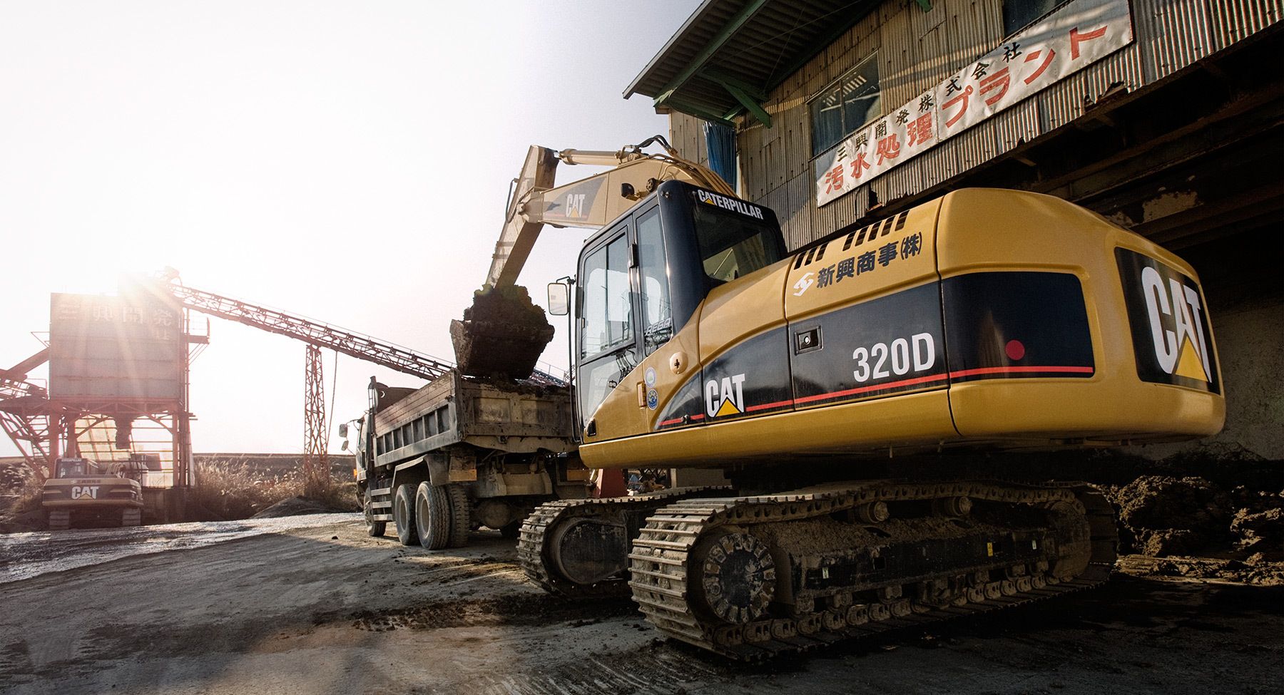 1cat_320d_japan_5893_18x975