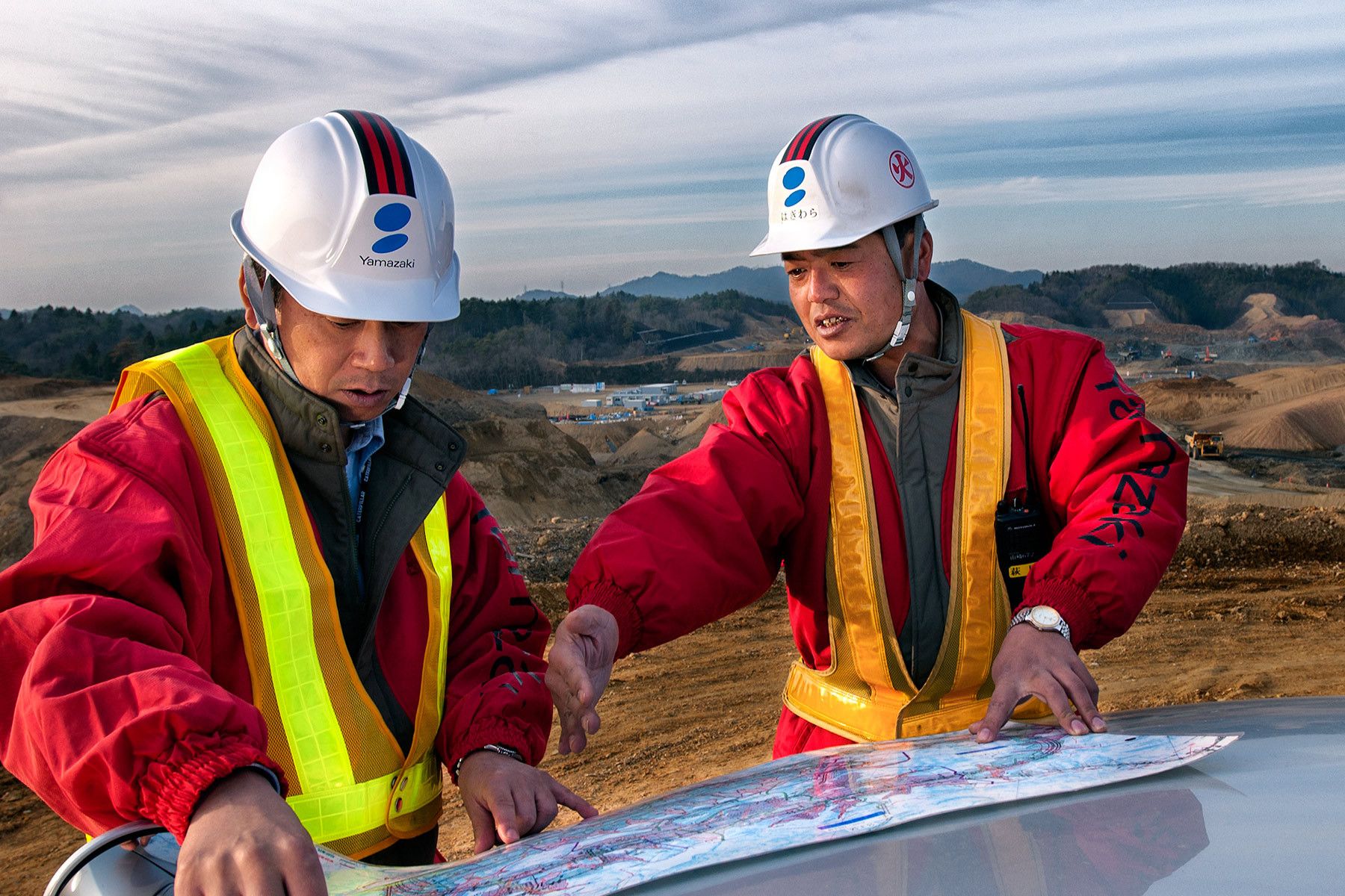 1cat_yamazaki_japan_57c