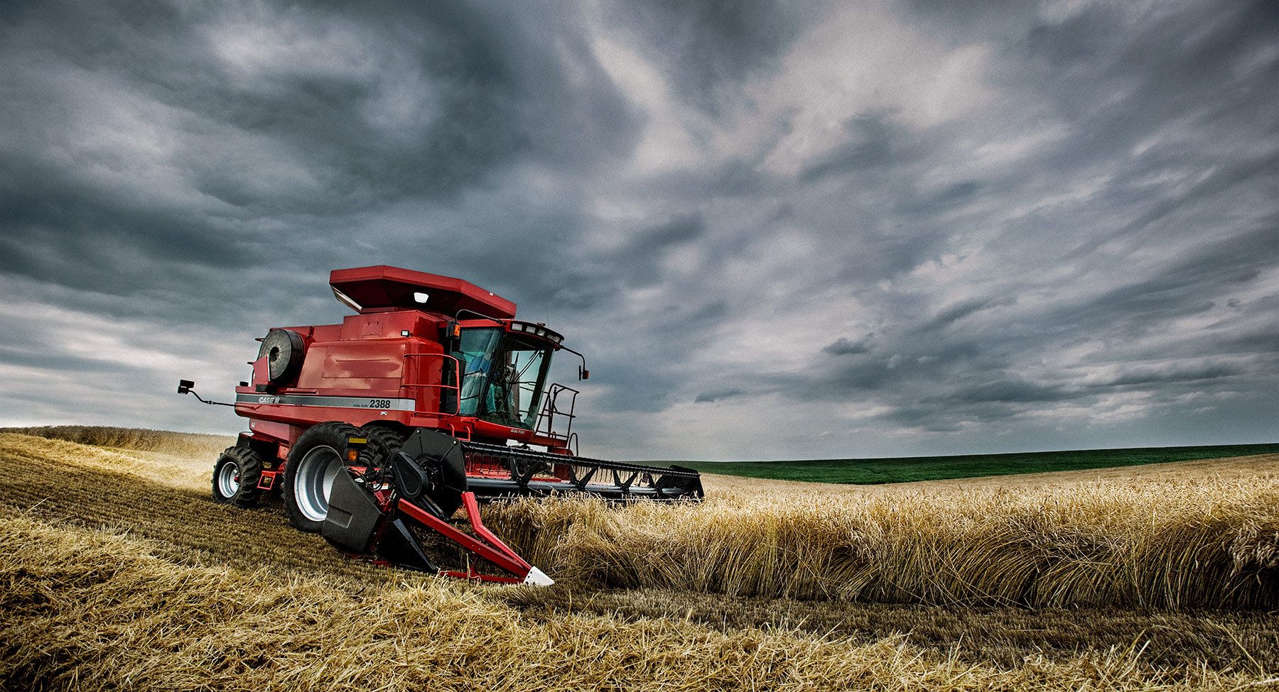 1caseih_2388_wheat_20090714_78lay_18x975