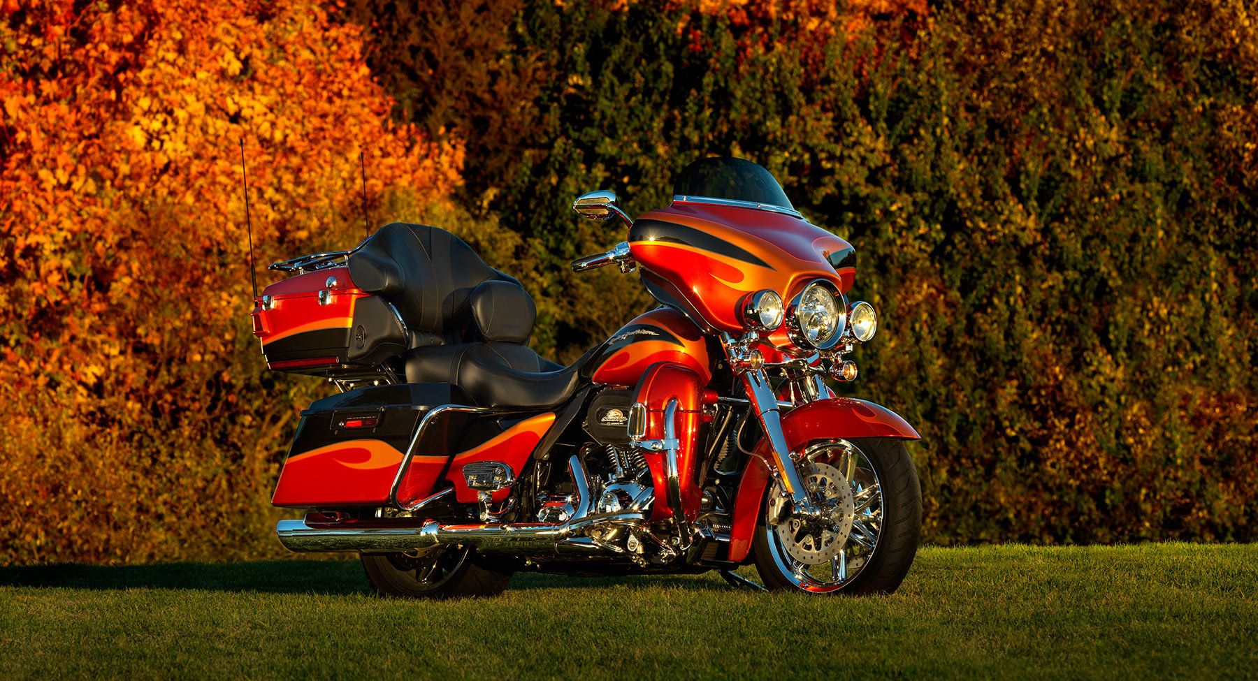 1hd_clifton_blad_0045_18x975