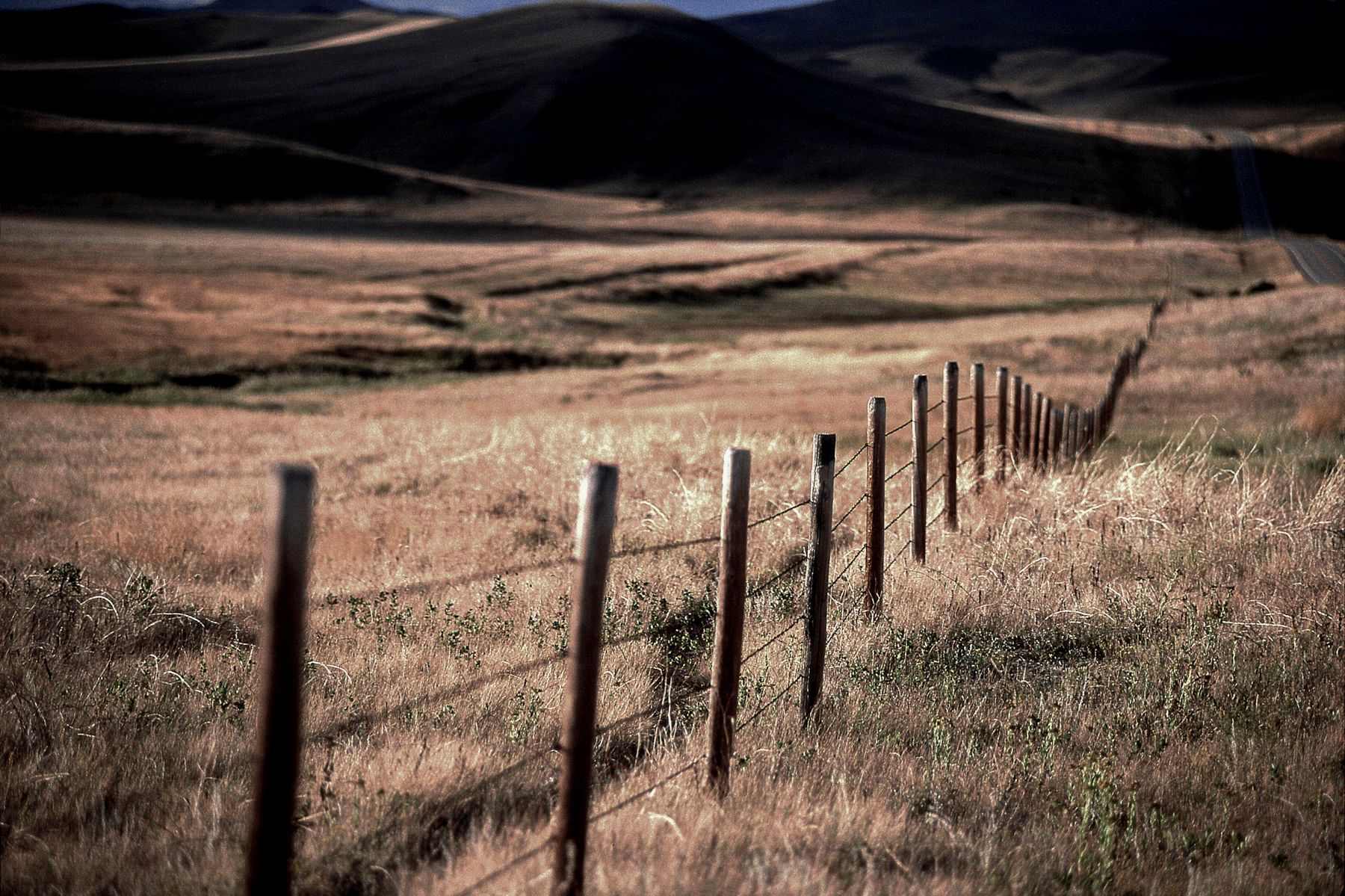 1mtfence1.jpg