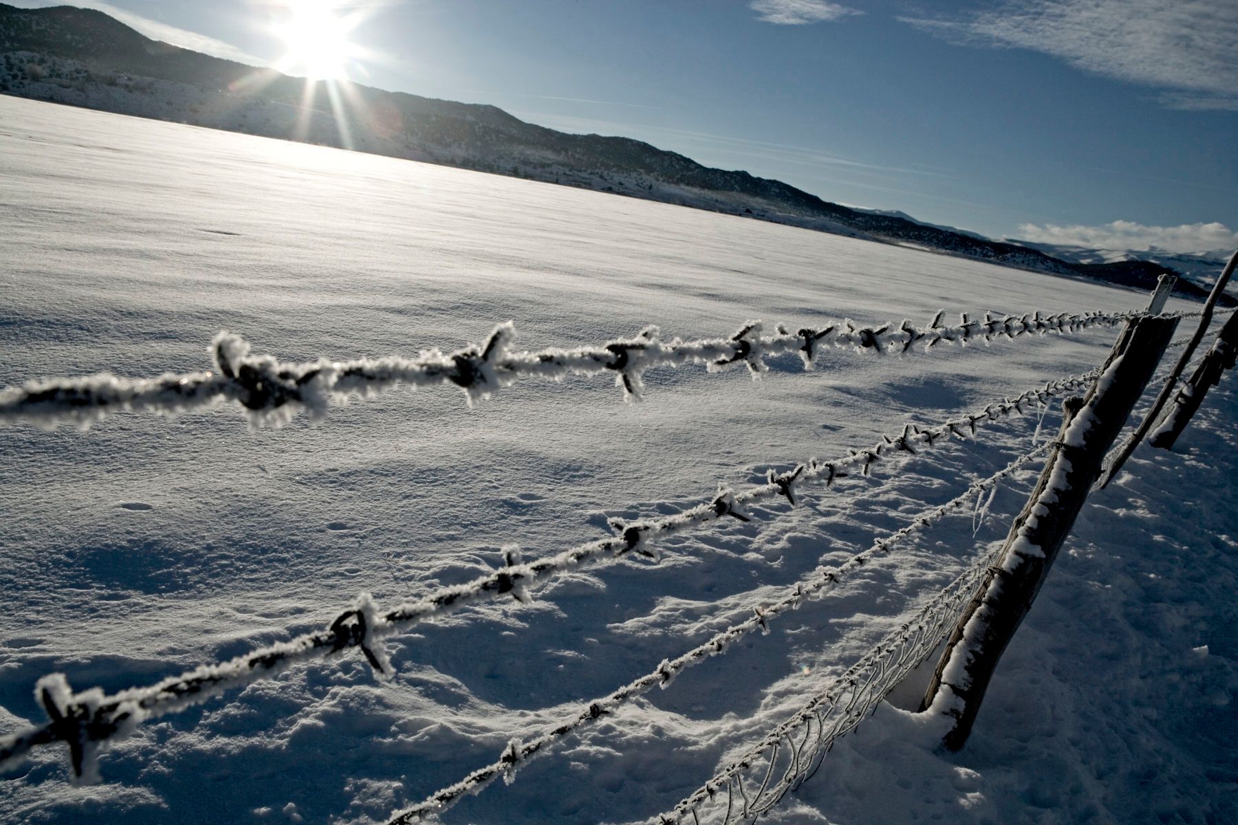 1snowbarbedfence.jpg
