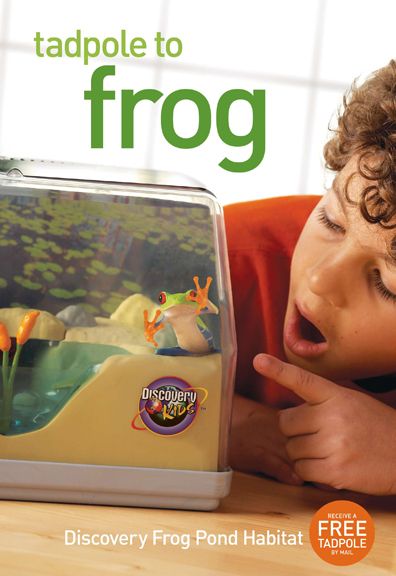 Client: Discovery Kids