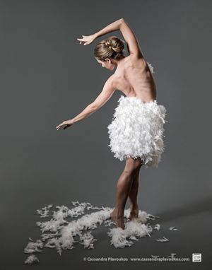 White Swan by Cassandra Plavoukos