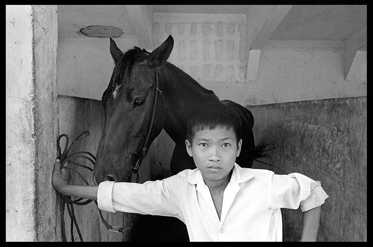 Guarding my Horse .jpg