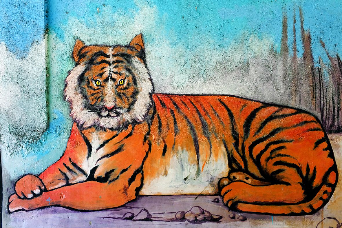 The Majestic Tiger DSCF6986.jpg