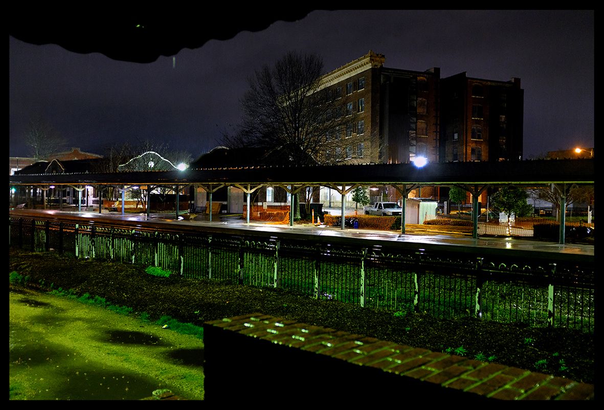 Raining Cats and Dogs DSCF6413.jpg