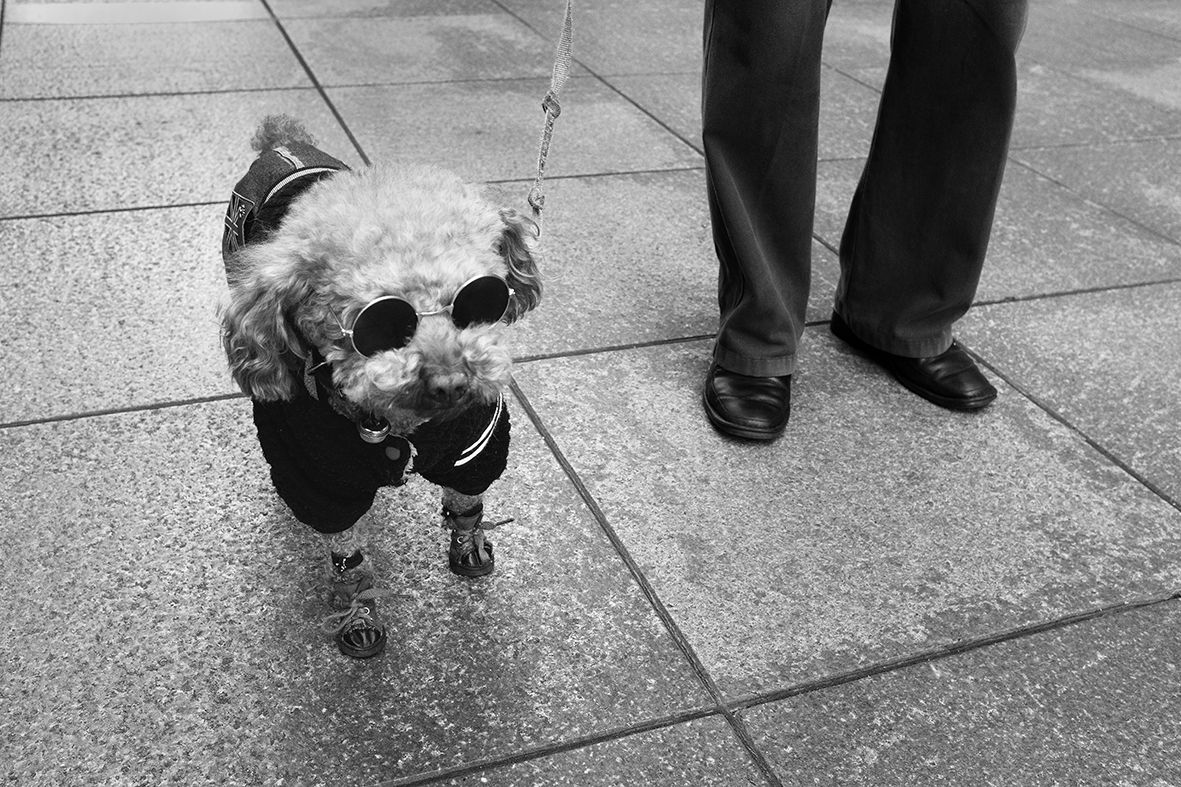 The Star of Nanjing Lu DSCF6255.jpg