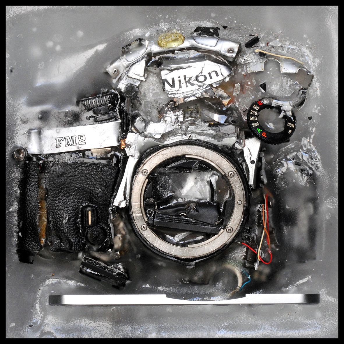 Nikon FM 2 Siver DSC_6780.jpg