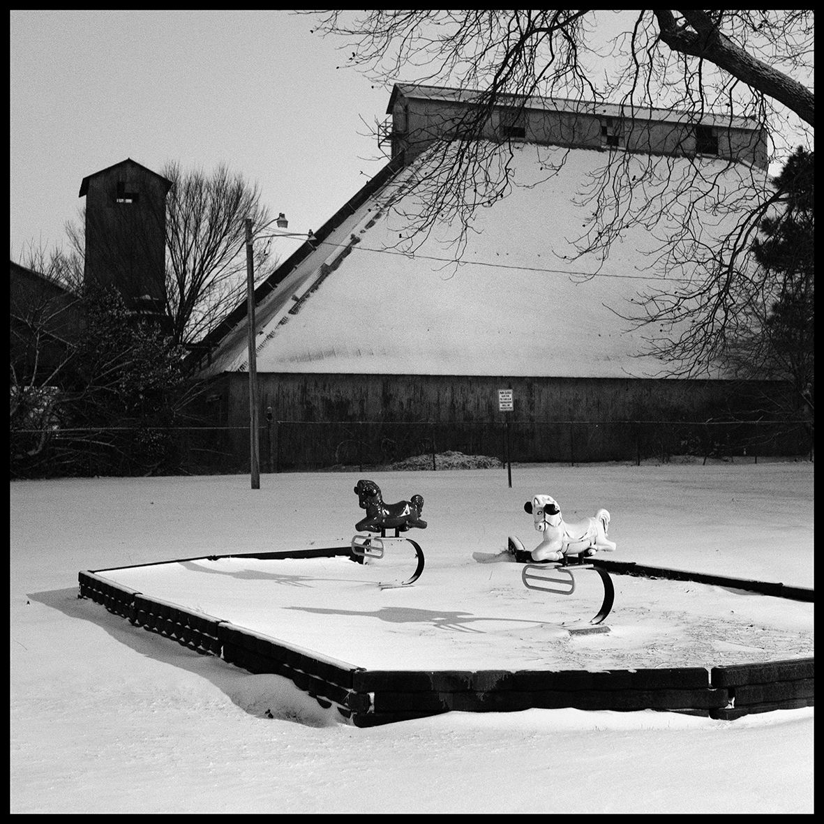 Horse Racing DSCF4548.jpg