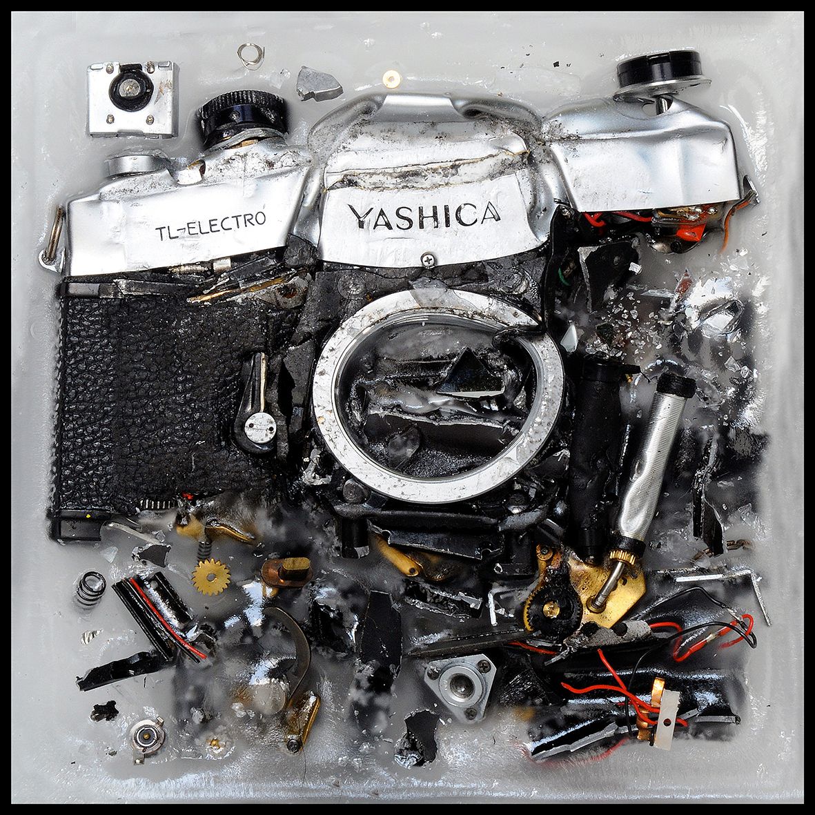 Yashica TL-Electro DSC_9028 B.jpg