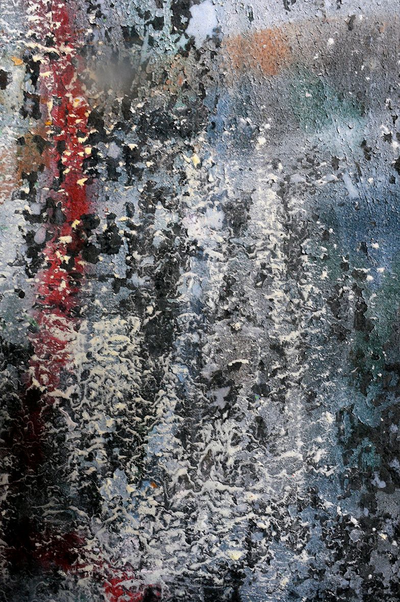 Black and White Snow DSC_5903.jpg