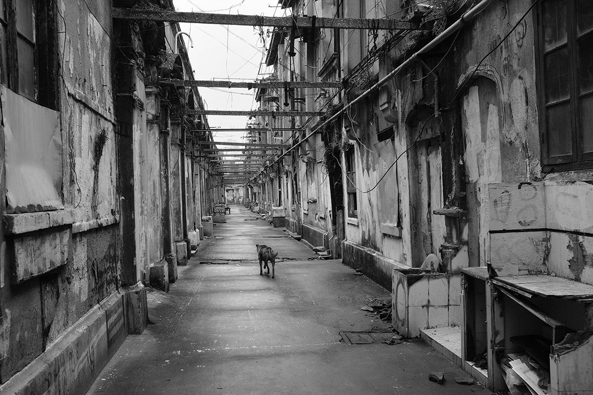 Where Is Everybody Gone DSCF0809.jpg