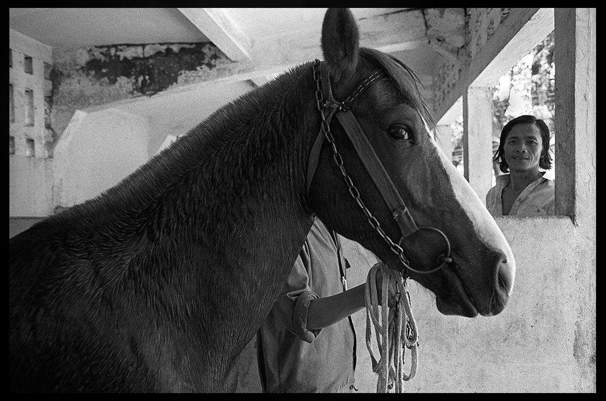 I Am Going to Win .jpg