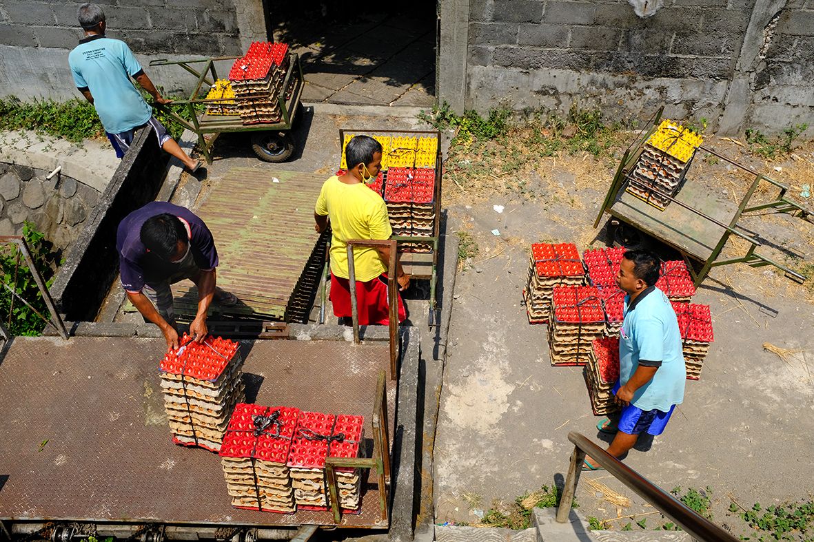 The Egg Factory DSCF7695.jpg