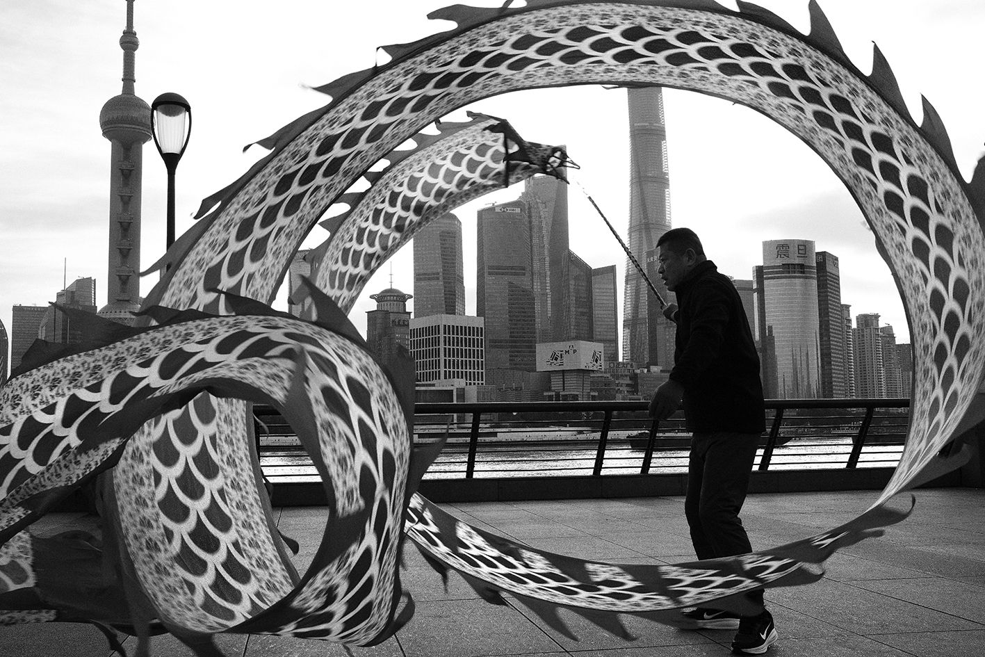 Flying Dragon DSCF5934.jpg