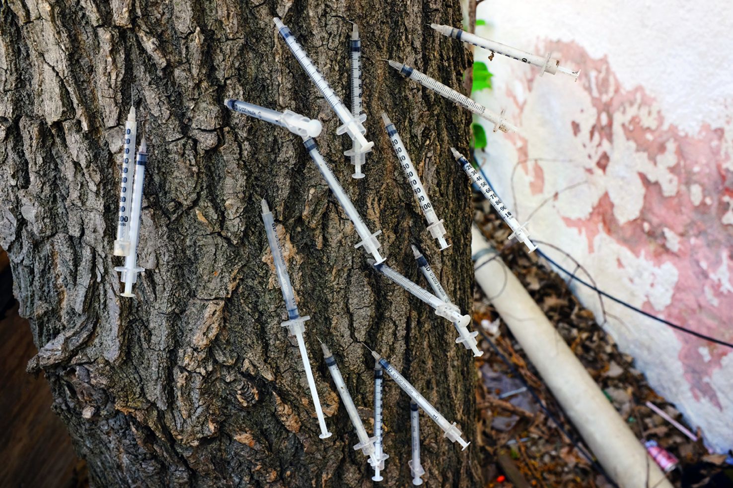 1more_than_50_000_dscf2495