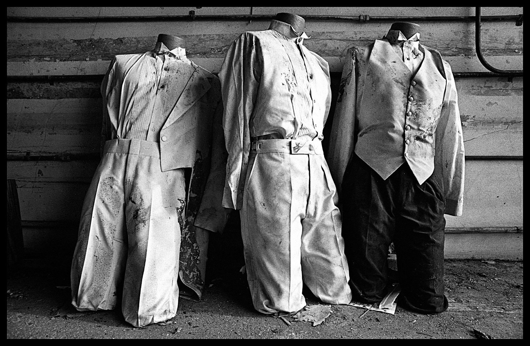 1no_more_parties_for_us