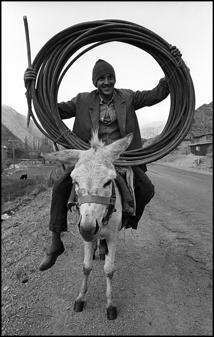 1strong_donkey_samarkand_1992_f118_p35a