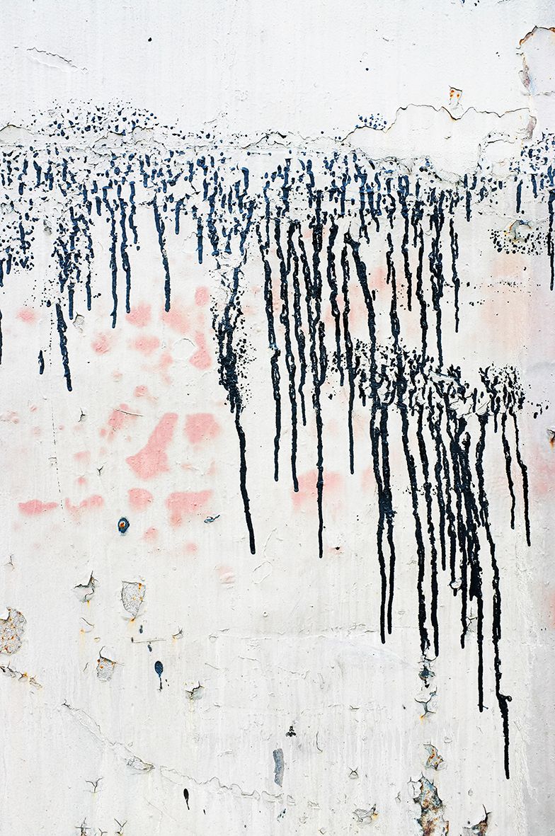 The Forest in the Snow DSCF1486.jpg