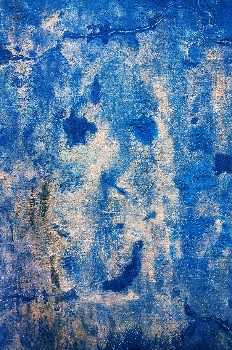 My Blue Friend DSCF0181.jpg