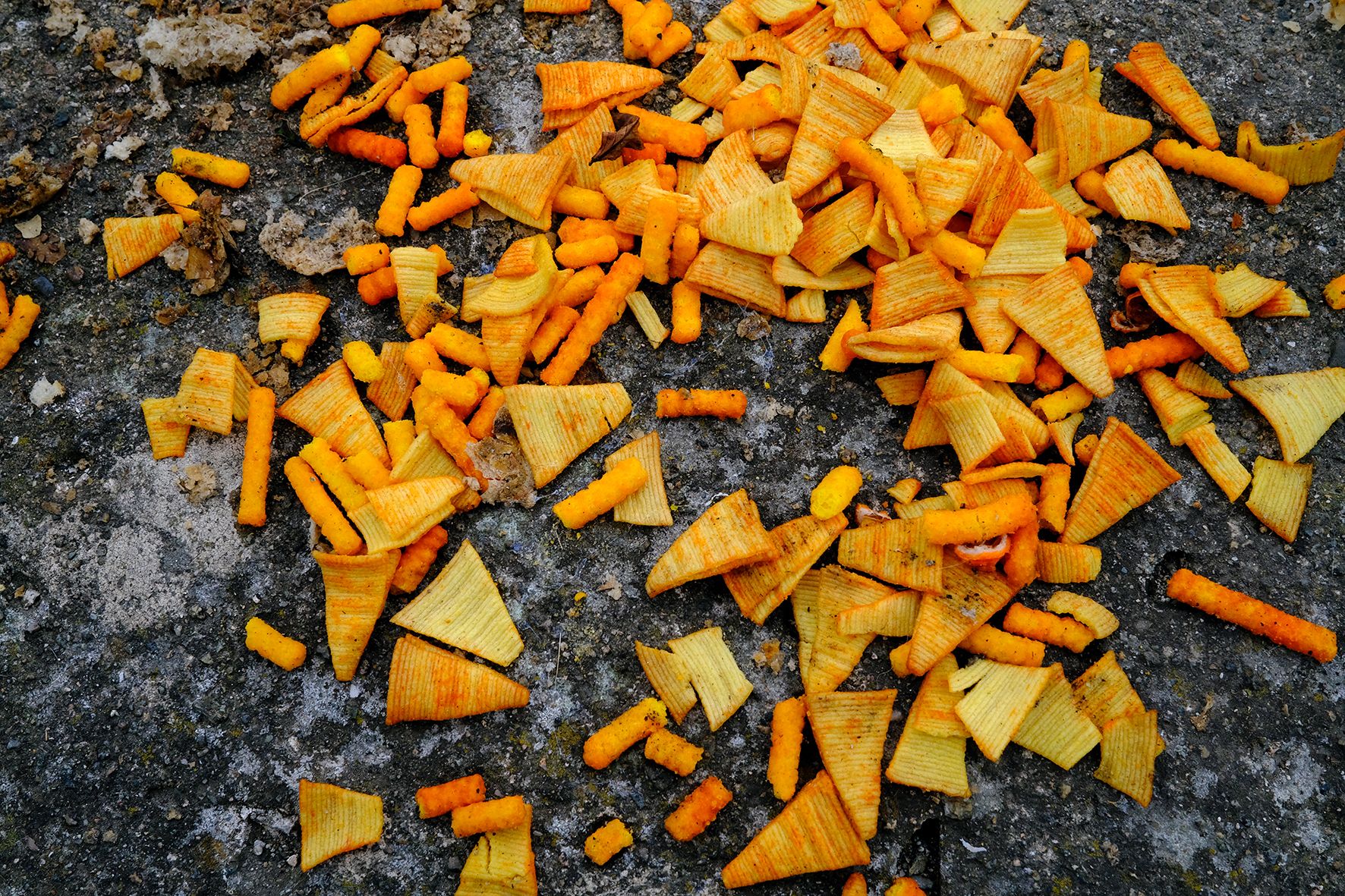 Cheetos and Stuff DSCF9383.jpg