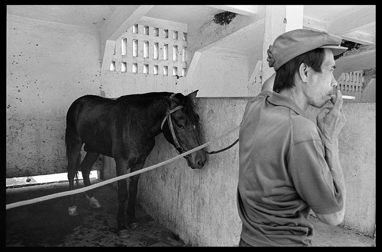 Not Trusting Me .jpg