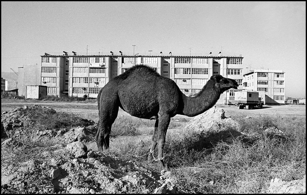 1the_camel_ashgabat_1992_f127_p27a