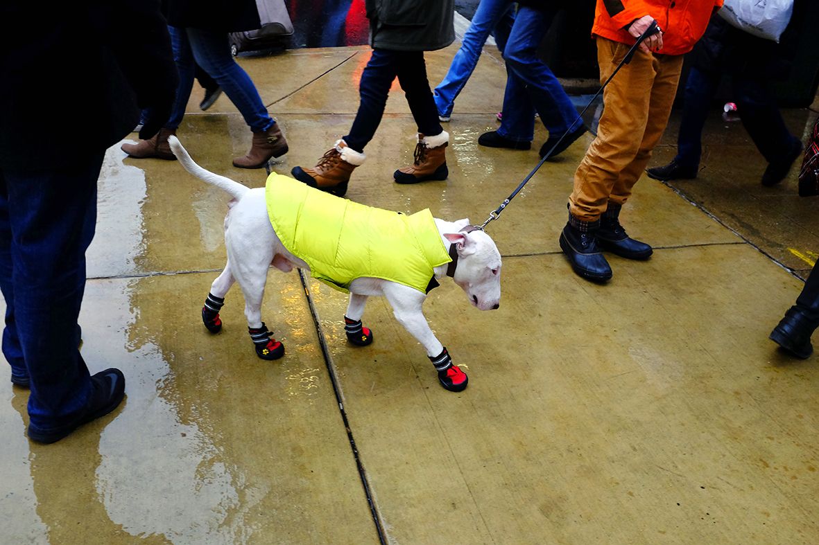 2016- Walking With Shoes DSCF7509.jpg