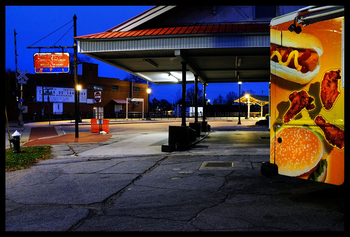 Wings and Dogs LR DSCF7187.jpg