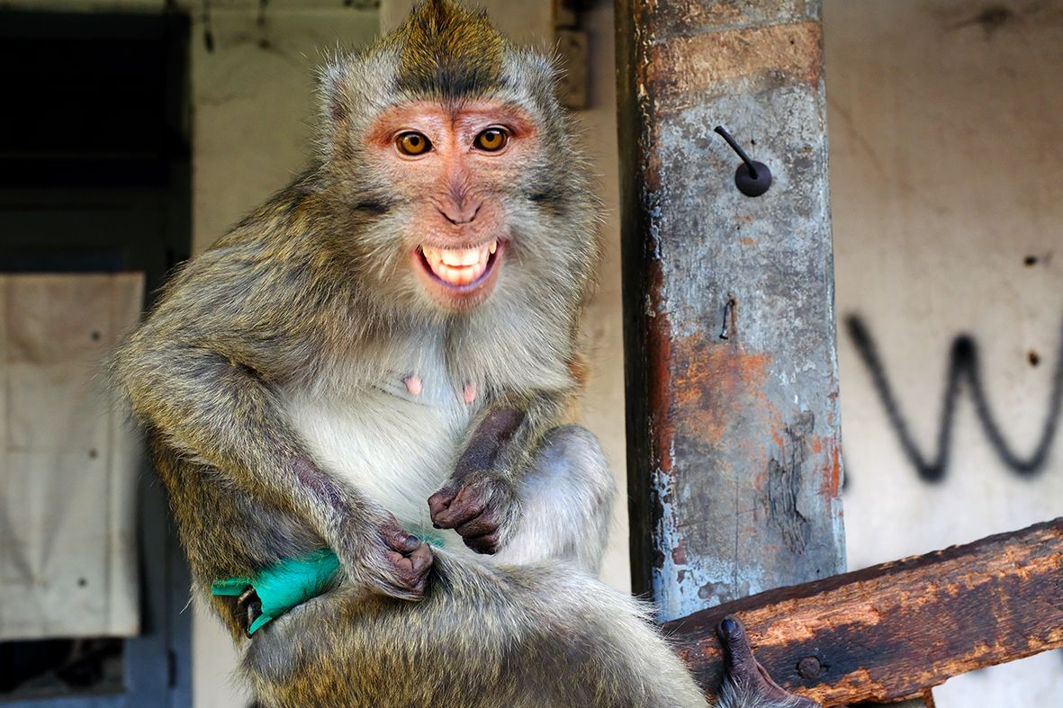 Can I Smile DSCF8307.jpg