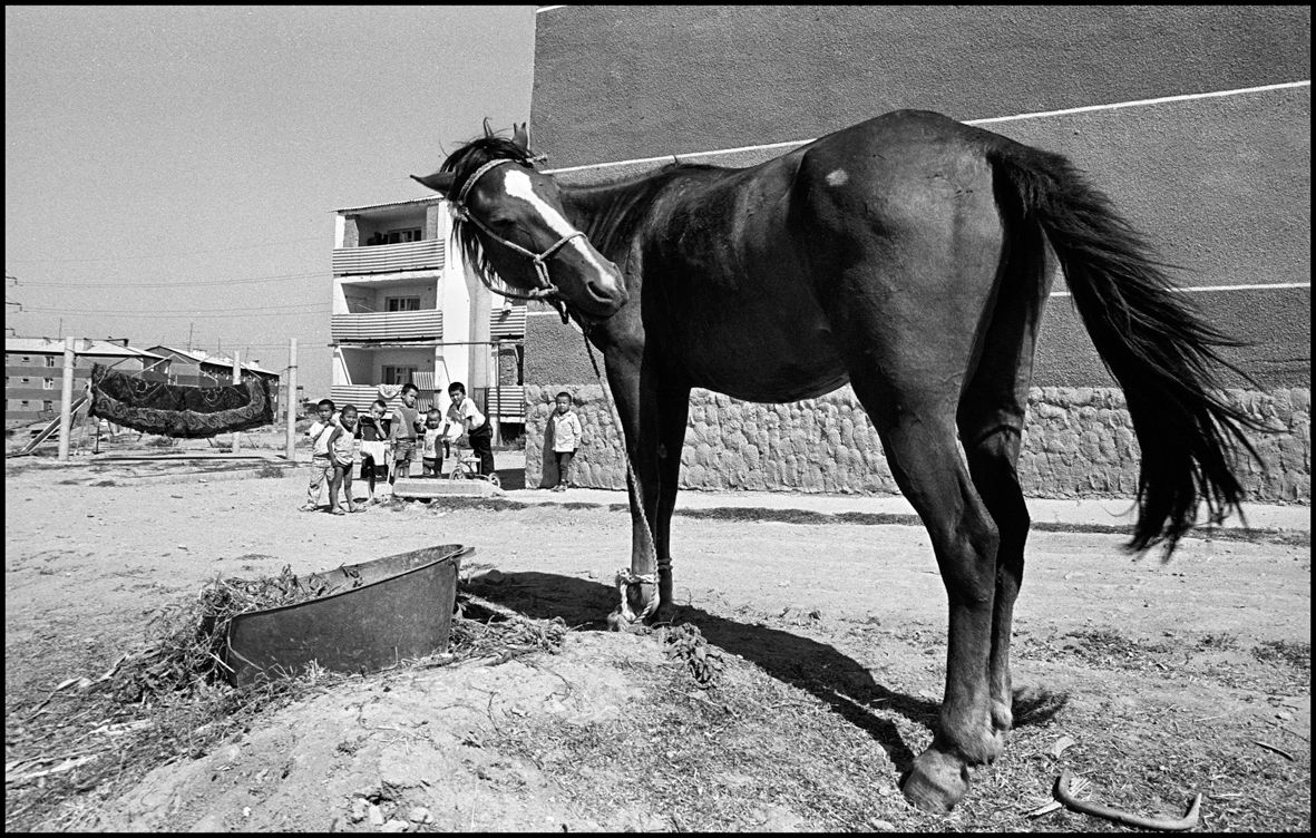 1not_really_sure_chimkent_1995_f_k87_p31