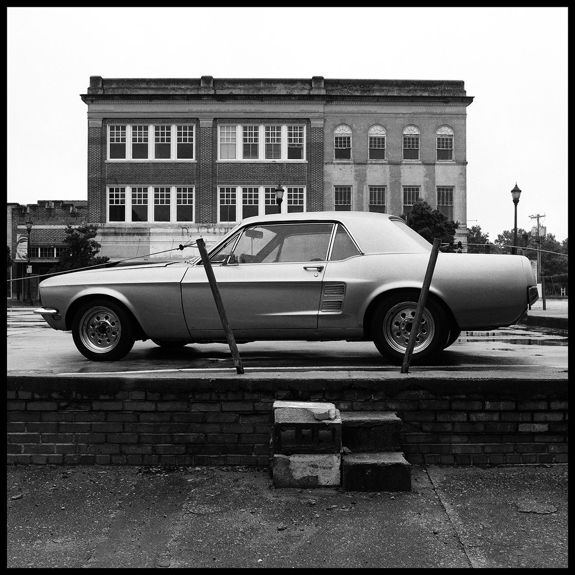 Mustang Forever DSCF1525.jpg