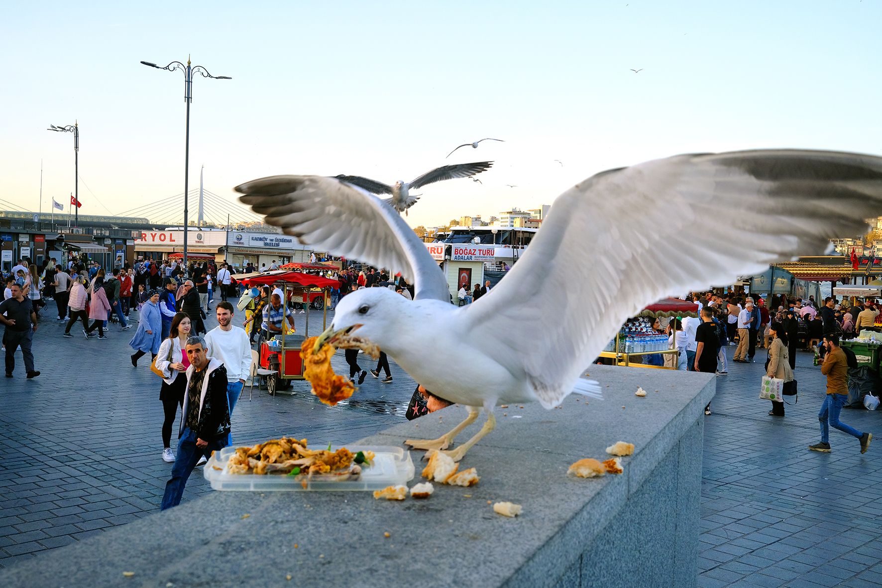 My Dinner DSCF2632.jpg