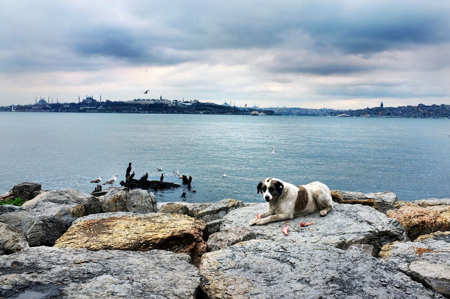 11-lunch_by_the_water_dscf6935