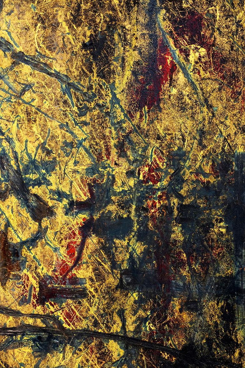 Wounded DSCF2002.jpg