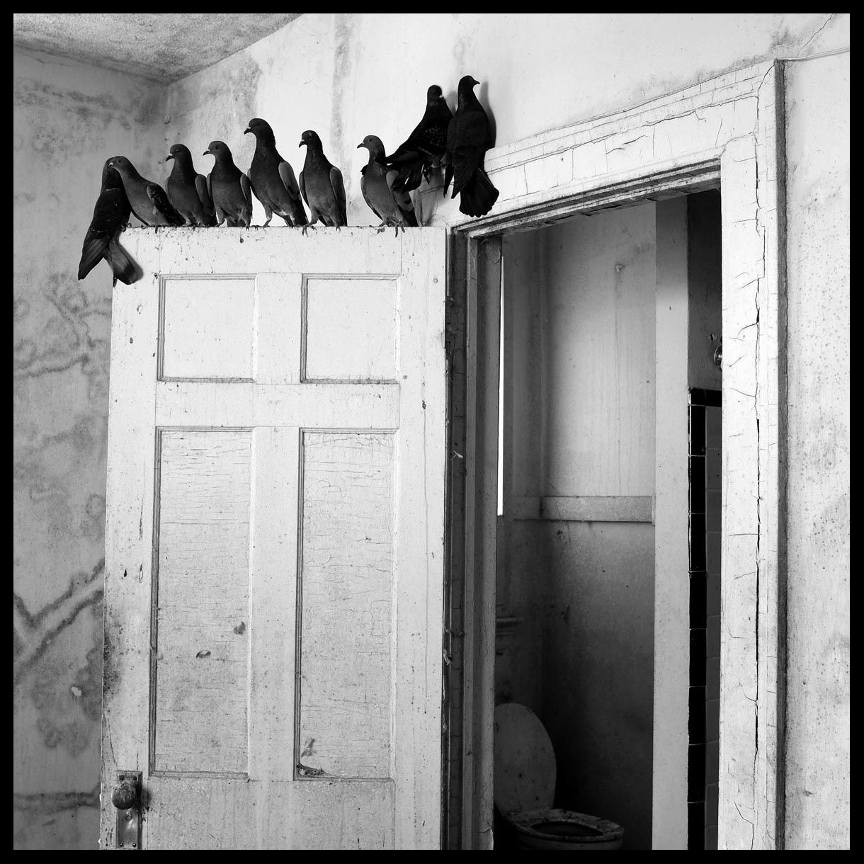 The Landmark DSCF6847.jpg